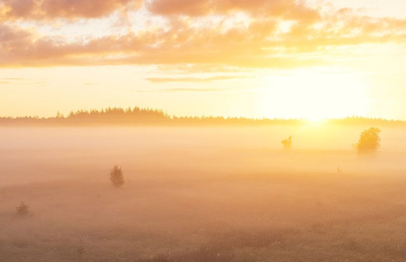 Foggy sunrise Duurswouderheide (Netherlands) by Marcel Kerdijk