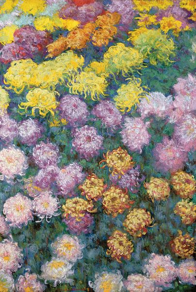 Massif de Chrysanthemes, 1897 (oil on canvas) by Bridgeman Masters