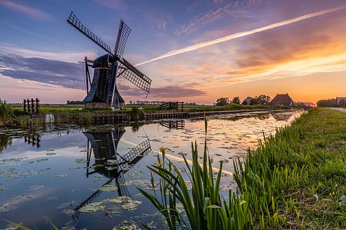 Windmolen Zonsondergang Workum von Timothy Ricketts