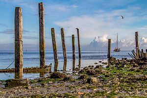 Hafen von Sil - Texel