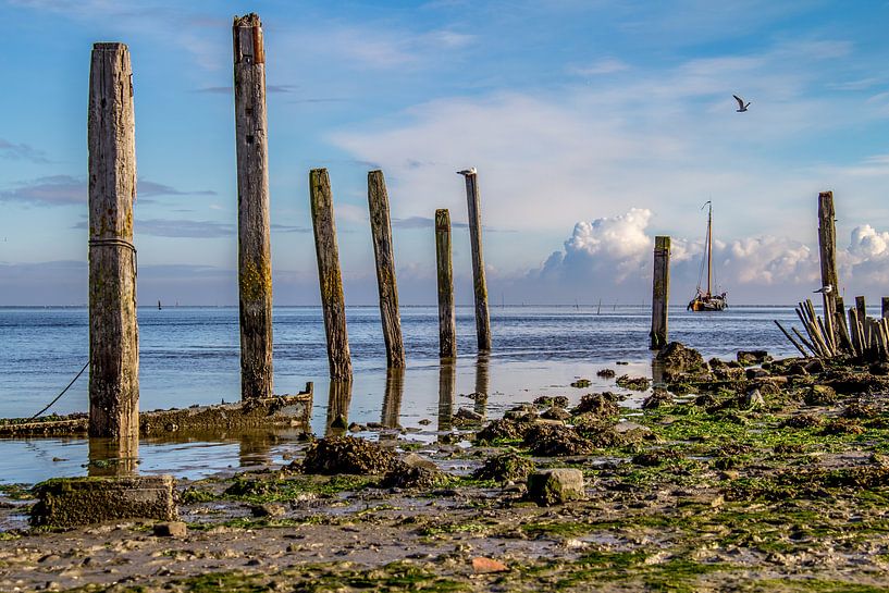 Hafen von Sil - Texel von Texel360Fotografie Richard Heerschap