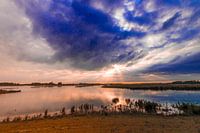 Avond over de Biesbosch