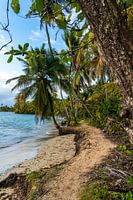 Tropisch pad met palmbomen langs de zee in Panama