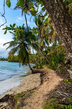 Tropisch pad met palmbomen langs de zee in Panama van Marlo Brochard