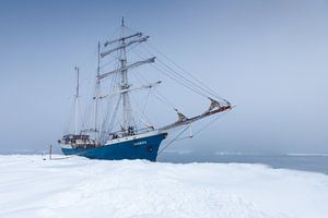 Grand voilier Barquentine Antigua