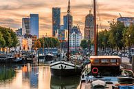 Rotterdam, Nederland van Lorena Cirstea thumbnail