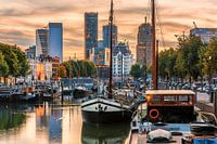Sunset in Rotterdam, The Netherlands