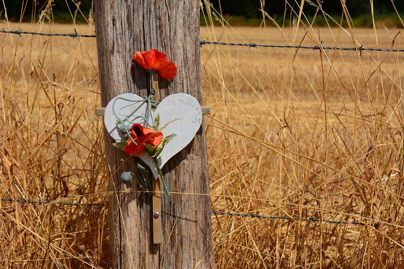 Heart and red flowers on pole, we miss you by My Footprints