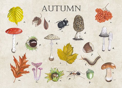 Autumn