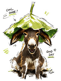« Cool Shade Good Day » : un âne rigolo avec un chapeau en forme de feuille – Illustration dessinée à la main sur Ramy Salah Hefny