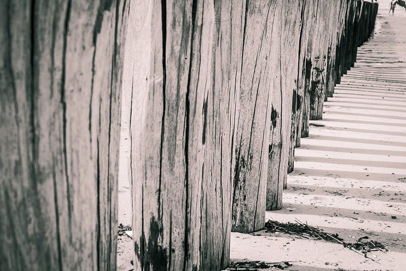 Des épis en bois sur la plage par Fotografiecor .nl