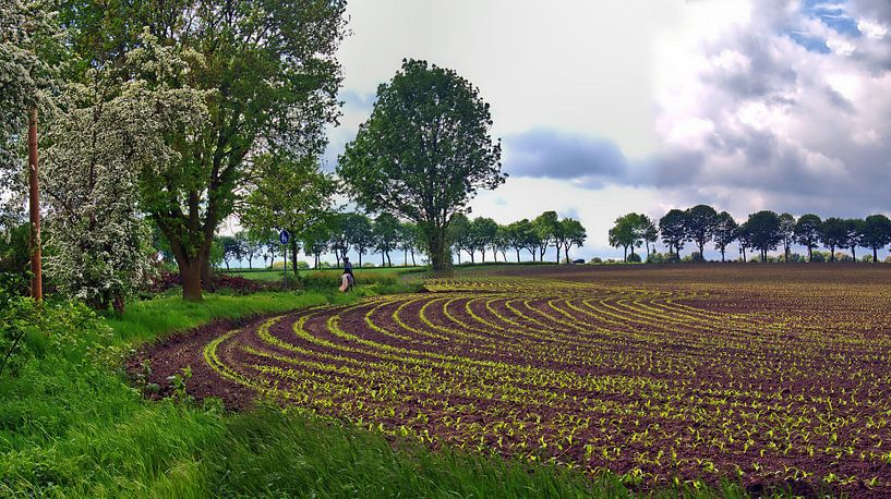 Vier binnenplaatspanorama's 8 van Edgar Schermaul