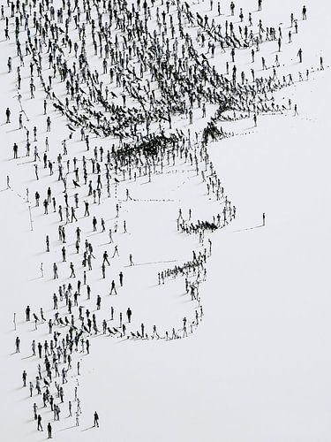 Zwarte Silhouetten, Wit Portret