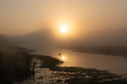 Pannenhoef dans la brume