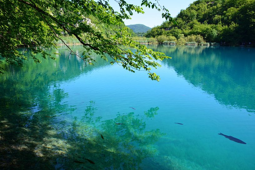 Eau turquoise dans les lacs de Plitvice Croatie par My Footprints