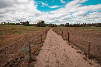 M A I N Z E R S A N D