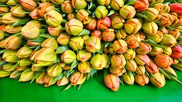 Pile of Tulips