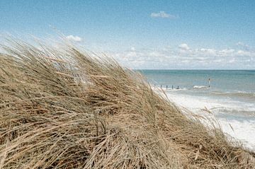 English coast by Gemmy van Esch