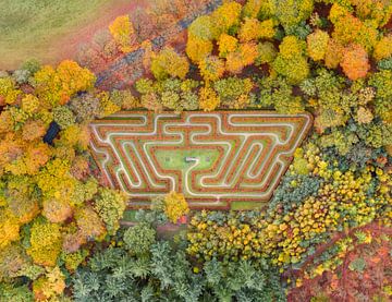 Doolhof Ruurlo in herfst kleuren! van Peter Haastrecht, van