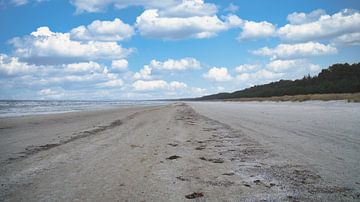 Uitzicht over het strand op Usedom met duinen aan de ene kant en de Baltische Zee aan de andere kant van Martin Köbsch