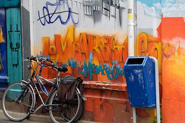 Mooi Leeuwarden van Jos Jansen
