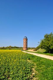 Peilturm am Kap Arkona, Rapsfeld von GH Foto & Artdesign