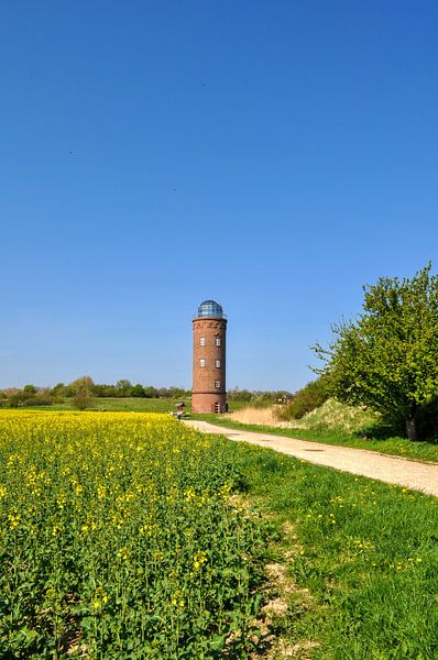 Tour de sondage au Cap Arkona, champ de viols par GH Foto & Artdesign