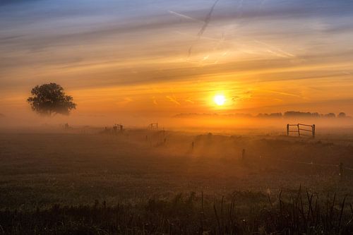 Zonsopkomst Maurikse veld