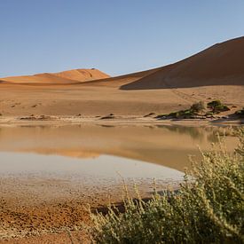 Sossusvlei, Namibische Wüste | Reisefotografie von Tine Depré