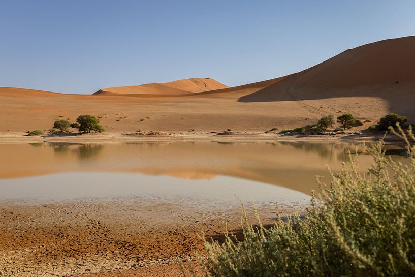 Sossusvlei, Namibian desert | Travel photography by Tine Depré