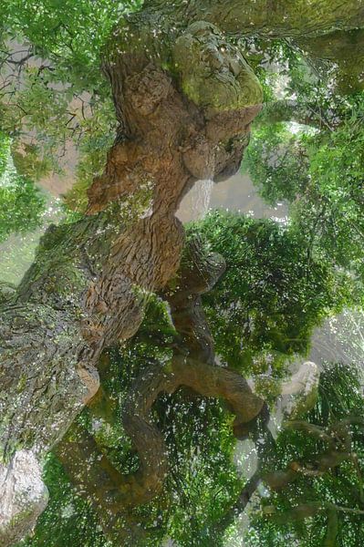 Artistic trees by Art. by Janine