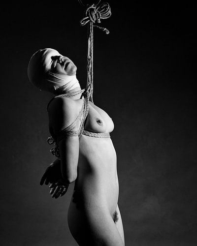 Fine art fetisj foto van een prachtige naakte vrouw in bondage