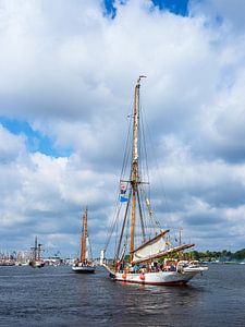 Segelschiffe auf der Hanse Sail in Rostock