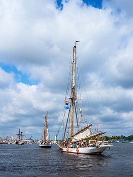 Segelschiffe auf der Hanse Sail in Rostock von Rico Ködder