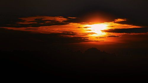 Abendsonne über den Bäumen