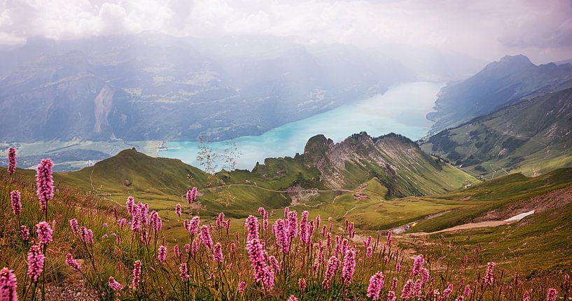 view from Brienzer Rothorn mountain to the valley and turquoise lake Brienzersee, idyllicswiss alps  by SusaZoom