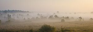 Blick auf die Neerharerheide