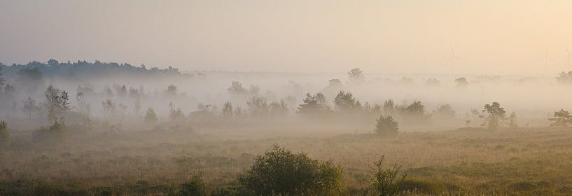 Blick auf die Neerharerheide von Johan Vanbockryck