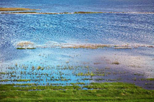 Waddenzee