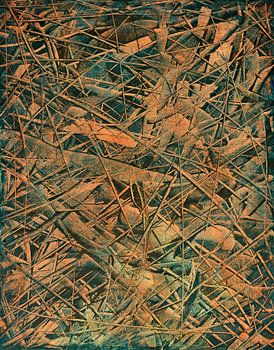 Nachttauchgang / Wracktauchgang