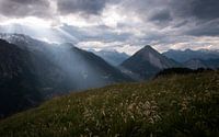Heavenly Light
