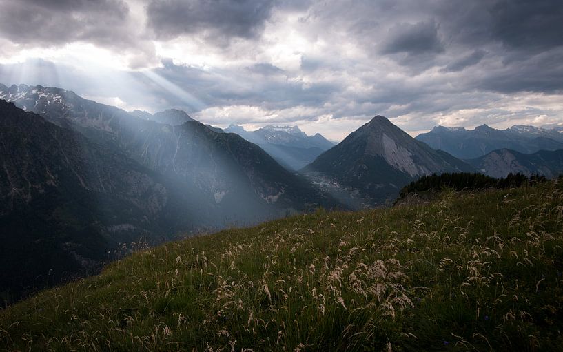 Heavenly Light by Joshua van Nierop
