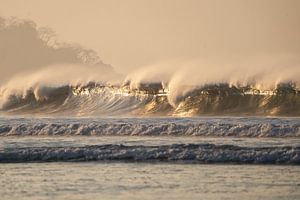 Aube sur les vagues de l'océan - or - surf