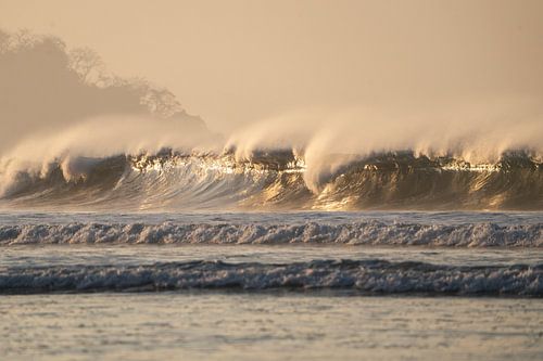 Aube sur les vagues de l'océan - or - surf