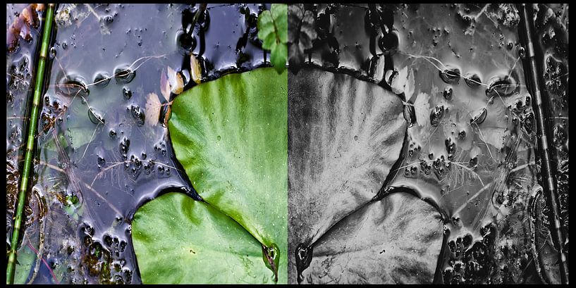 diptych  by Huibert van der Meer