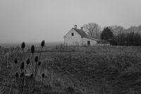 Cottage in the fog