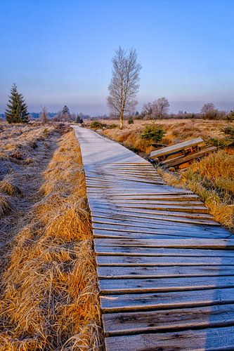 Houten wandelpad in Hove Venen
