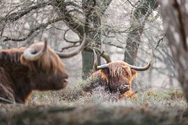 Drehungen und Wendungen