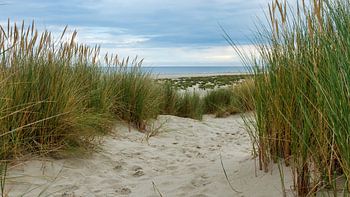 Strand von Terschelling