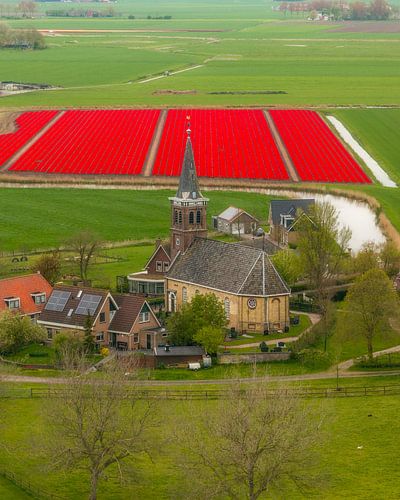 Schettens et les champs de tulipes - Un village frison entre couleur et paysage
